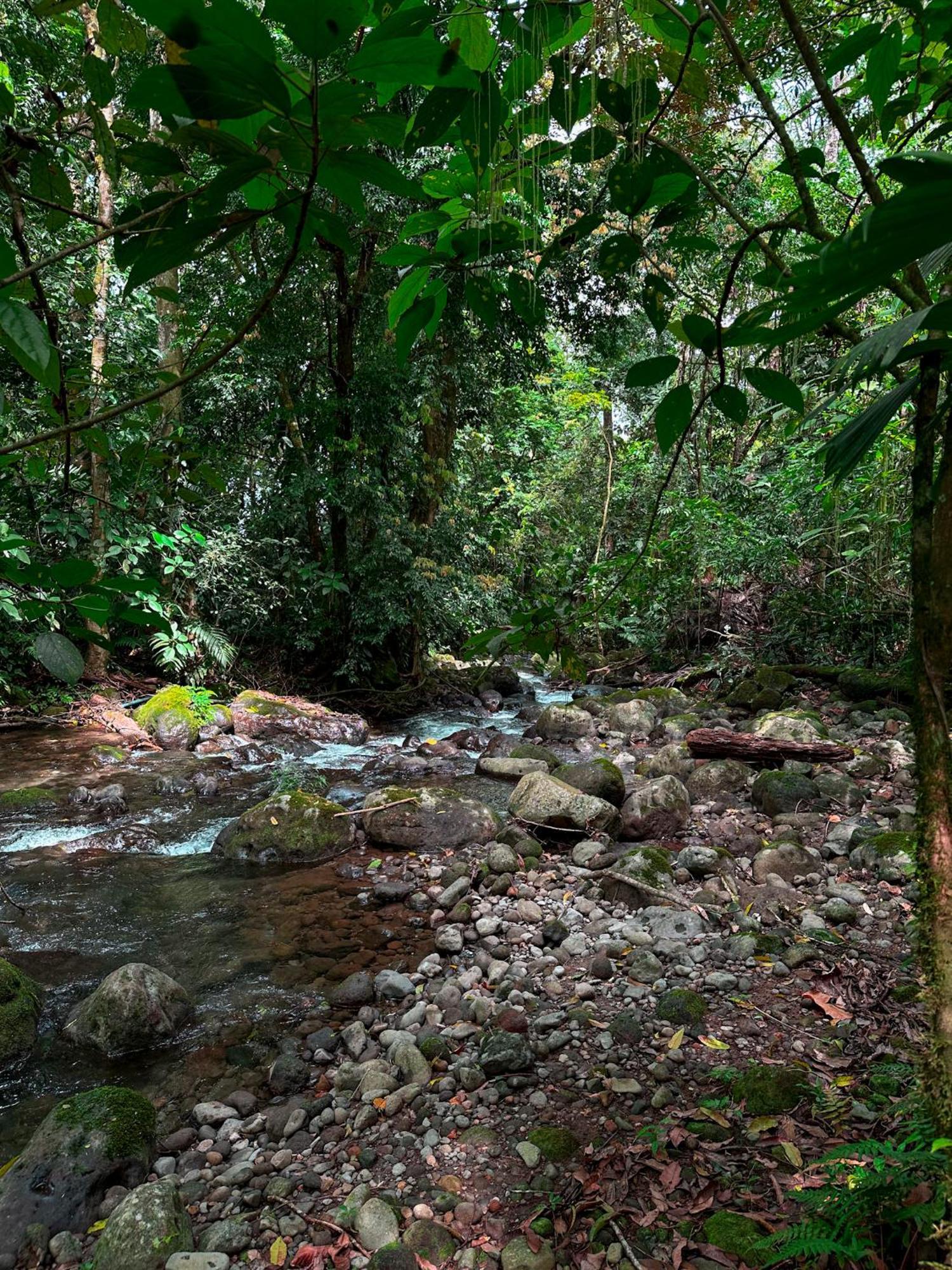 Cabanas Rio Escondido En La Fortuna المظهر الخارجي الصورة