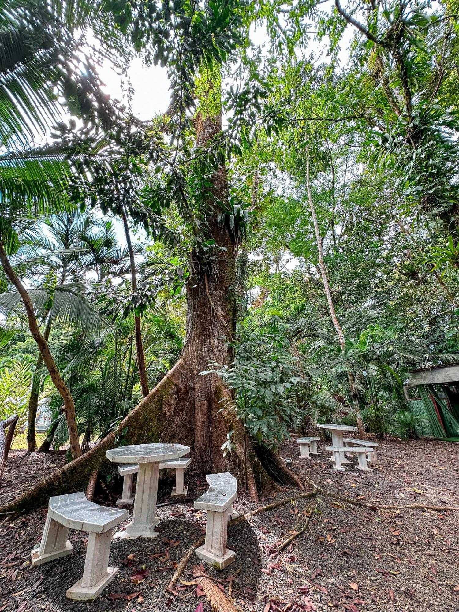 Cabanas Rio Escondido En La Fortuna المظهر الخارجي الصورة