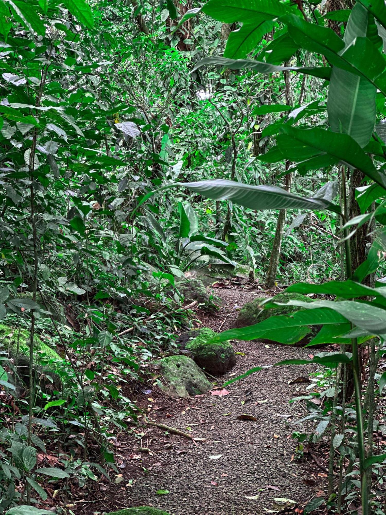 Cabanas Rio Escondido En La Fortuna المظهر الخارجي الصورة