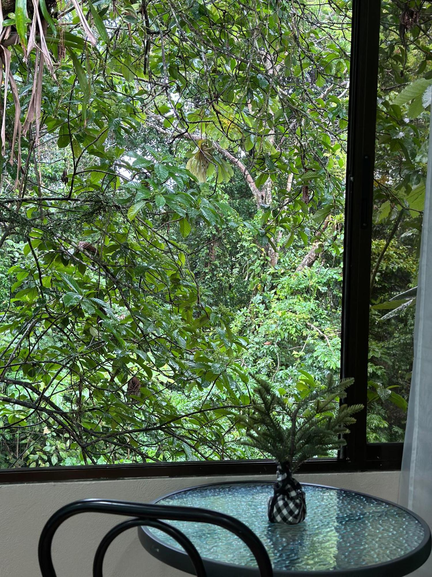 Cabanas Rio Escondido En La Fortuna المظهر الخارجي الصورة
